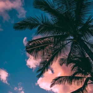 Meet your Posher, Stone